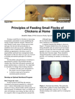 Principles of Feeding Small Flocks of Chickens at Home: David D. Frame, DVM, Extension Poultry Specialist