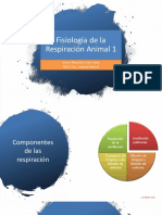 Fisiología de La Respiración Animal 1 (Presentación) PDF