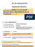 Informe de Indagacion