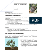 ananas06-08_comp.pdf