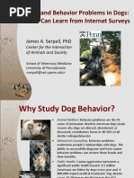 Behavior and Behavior Problems in Dogs: What We Can Learn From Internet Surveys