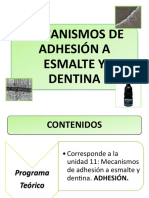 Mecanismos de Adhesion 2020 PDF