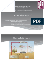 Ciclo Del Nitrogeno Exposicion Final