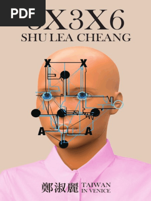 3x3x6 Shu Lea Cheang 19 Pdf Aesthetics Internet