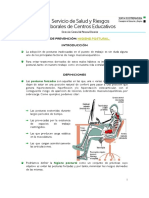 Higiene Postural PDF