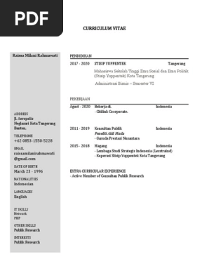 Cv Raissa Milani Docx