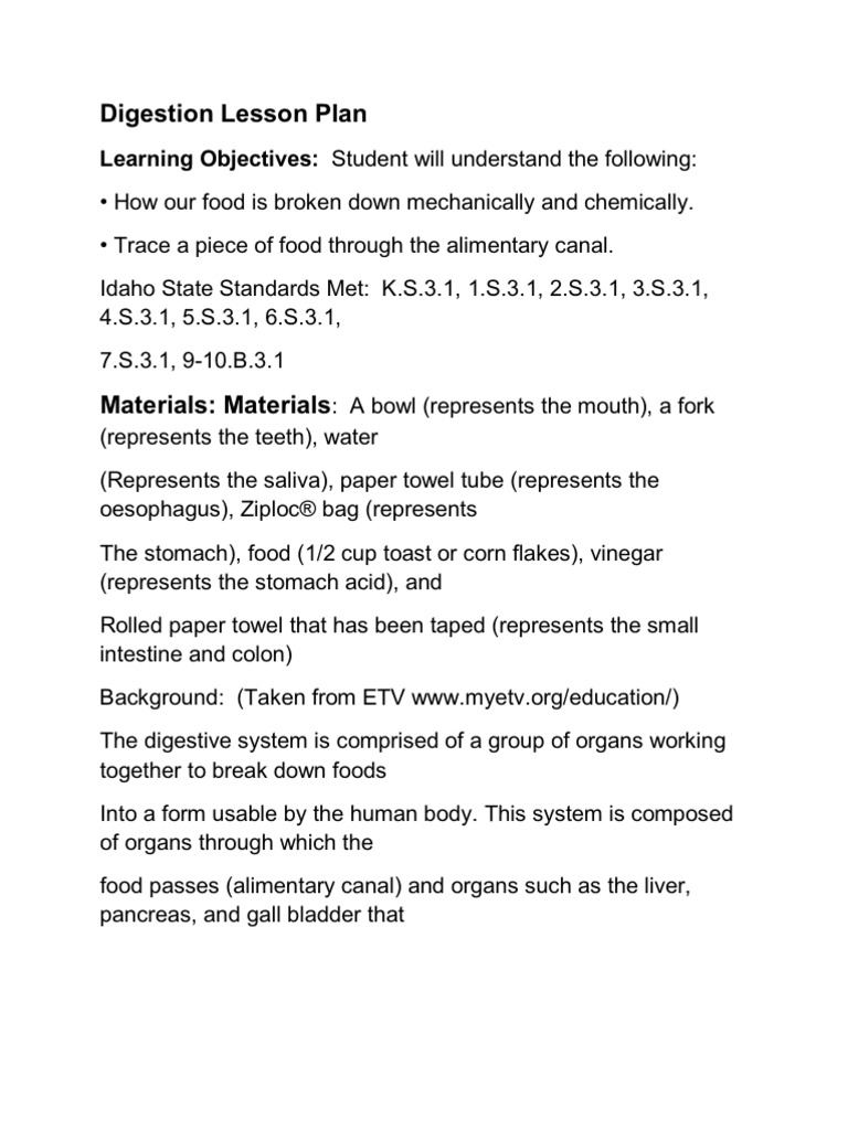 Digestion Lesson Plan Digestion Human Digestive System
