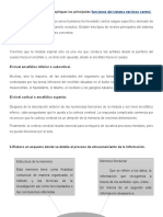 Tarea 3 de Anatomia