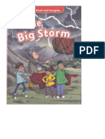 The Big Storm PDF