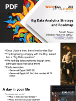 Big Data Analytics - Sgtrategy and Roadmap