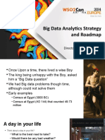 Big Data Analytics - Sgtrategy and Roadmap