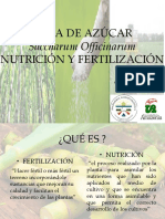 Caña de Azúcar Fertilizacion Ynutricion