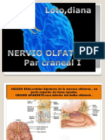 Nervio Olfatorio PDF