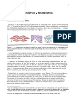 Tema I Neuronas y Redes Neuronales PDF - Compressed