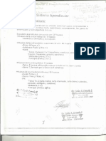 Guia de Esqueleto Apendicular PDF