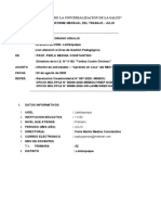 3 - Formato 2 Informe Director o Coordinador A Ugel Oficio 049