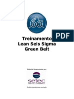 Green Belt Fundamentos PDF