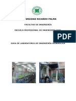 Nº1 Velocidad Terminal Particulas PDF