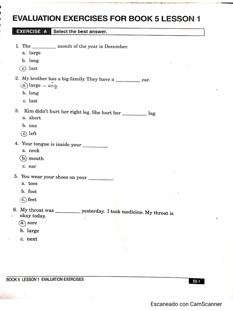 Evaluation Book 5 Lesson 1 PDF | PDF