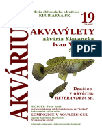 Akvárium 19 PDF