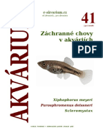 Akvárium 41 PDF