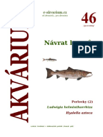 Akvárium 46 PDF