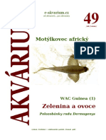 Akvárium 49 PDF
