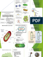 Informe de Genetica