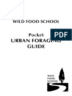 Pocket-Guide-to-Urban-Foraging.pdf