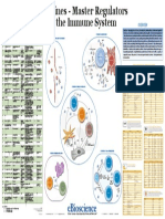 Cytokines 1 PDF