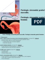 Patologia Sistemului Genital Masculin. Patologia Sistemului Genital Feminine