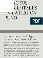 Diapositovas - Impactos en La Region Puno