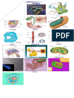 Imagenes Partes de La Computadora Marci