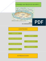 Evidencia AMP C 12c PDF