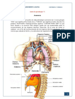 ANATOMIA