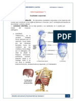 Anatomia 3