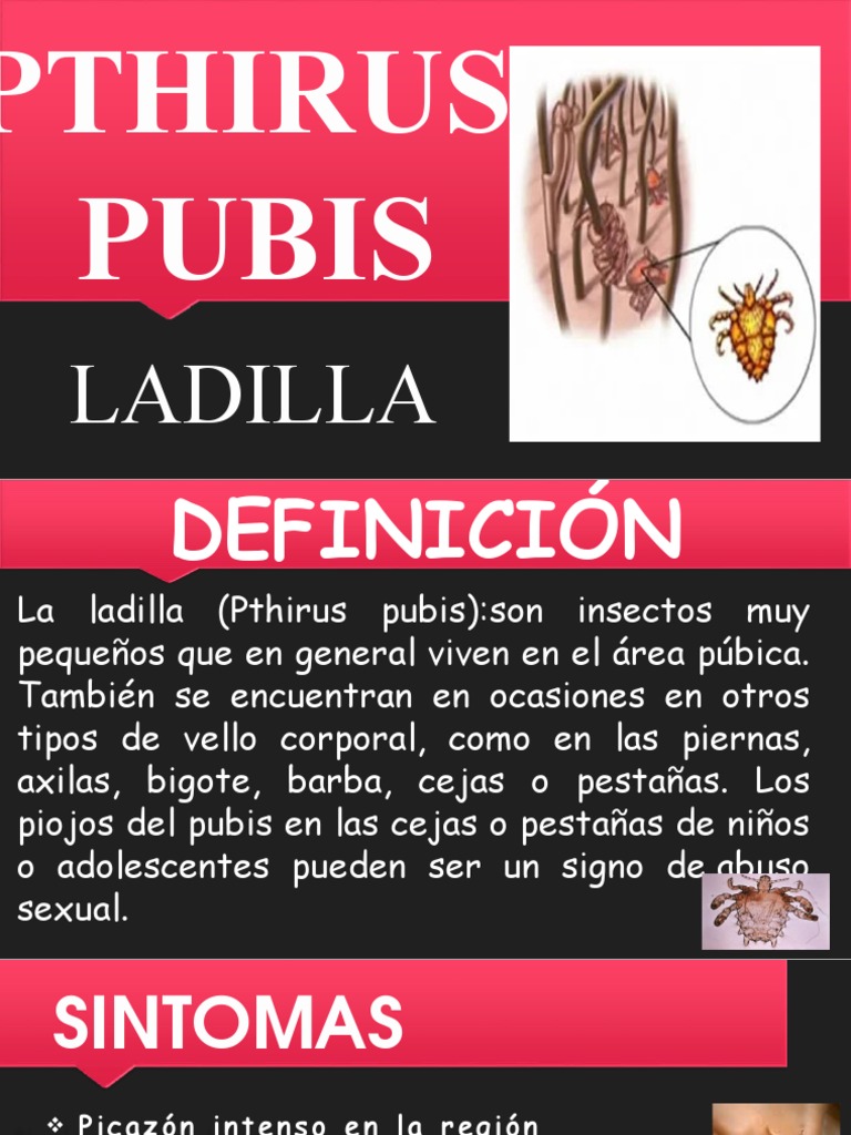 Síntomas y Tratamiento de Ladillas | PDF | Enfermedades y trastornos ...