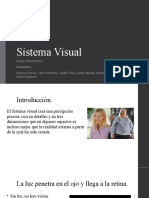 Sistema Visual