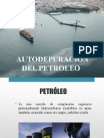 Autodepuracion Del Petroleo