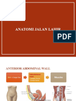 Anatomi Biomedik