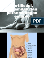 357936828-Fisiologi-kehamilan-ppt