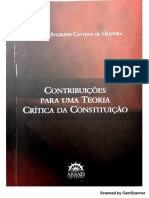Contribuições para Uma Teoria Critica Da Constituiçao - Marcelo Cattoni PDF