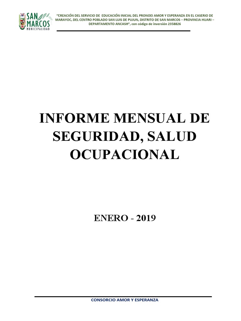 Informe Mensual de Seguridad y Salud 2019 | PDF