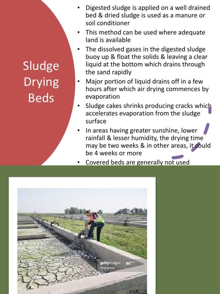 Design of Sludge Drying Beds PDF Sewage Treatment Water Treatment