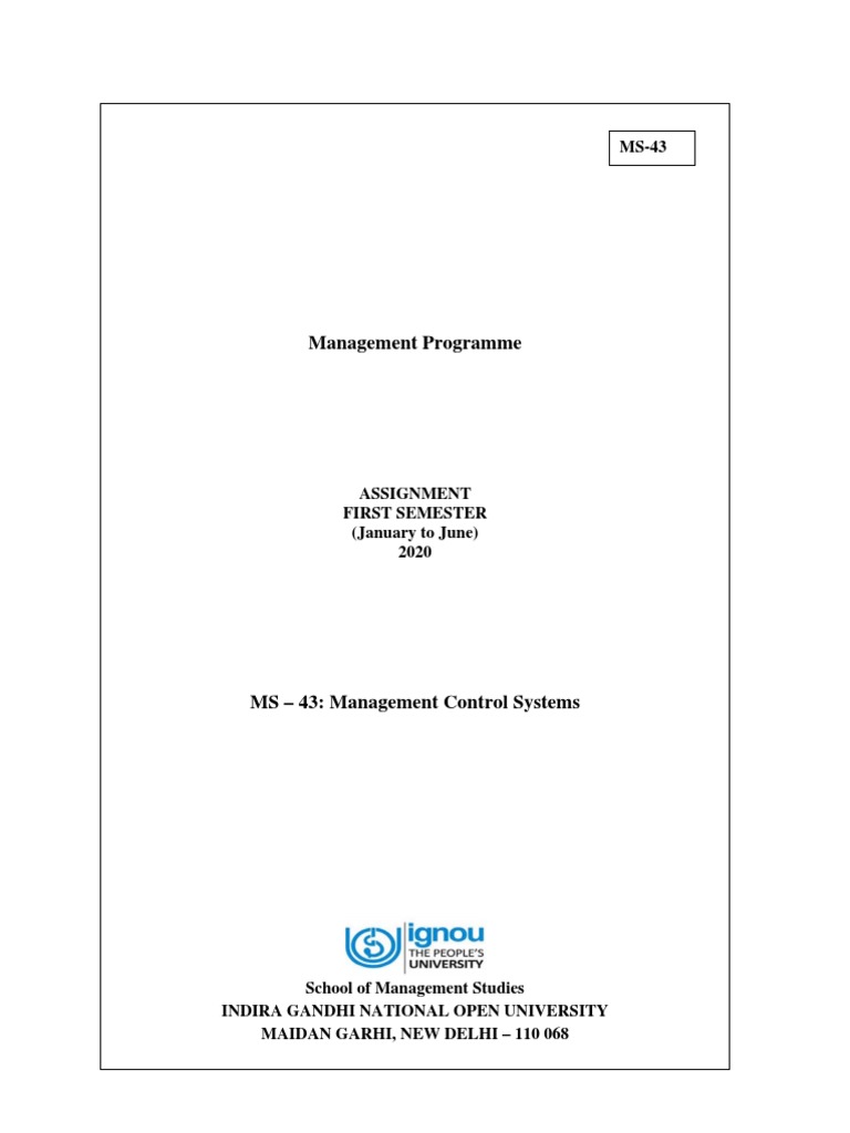 Management Control Systems Assignment Guide | PDF