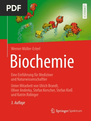 Buch Muller Pdf Pdf