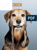 mon_chien.pdf