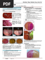 Microbiology Lab (Midterms) : November 2015 Dr. Mark Calban