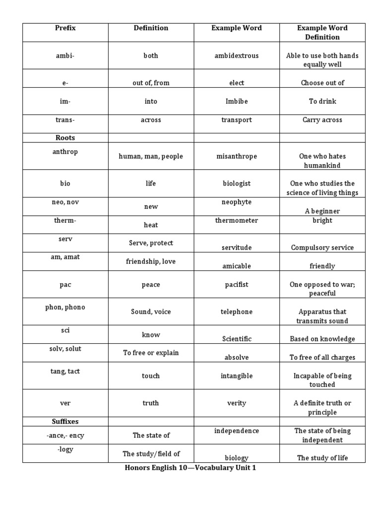 Vocabulary Roots and Definitions Guide | PDF