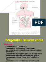 Fisiologi Pencernaan Pleno